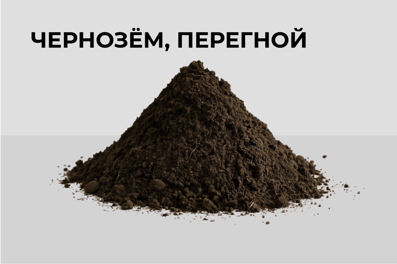 Чернозем, Перегной
