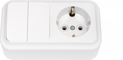 2В-РЦ-529 Пралеска Блок Выкл.2кл,+розетка б/з белый о/у (54)