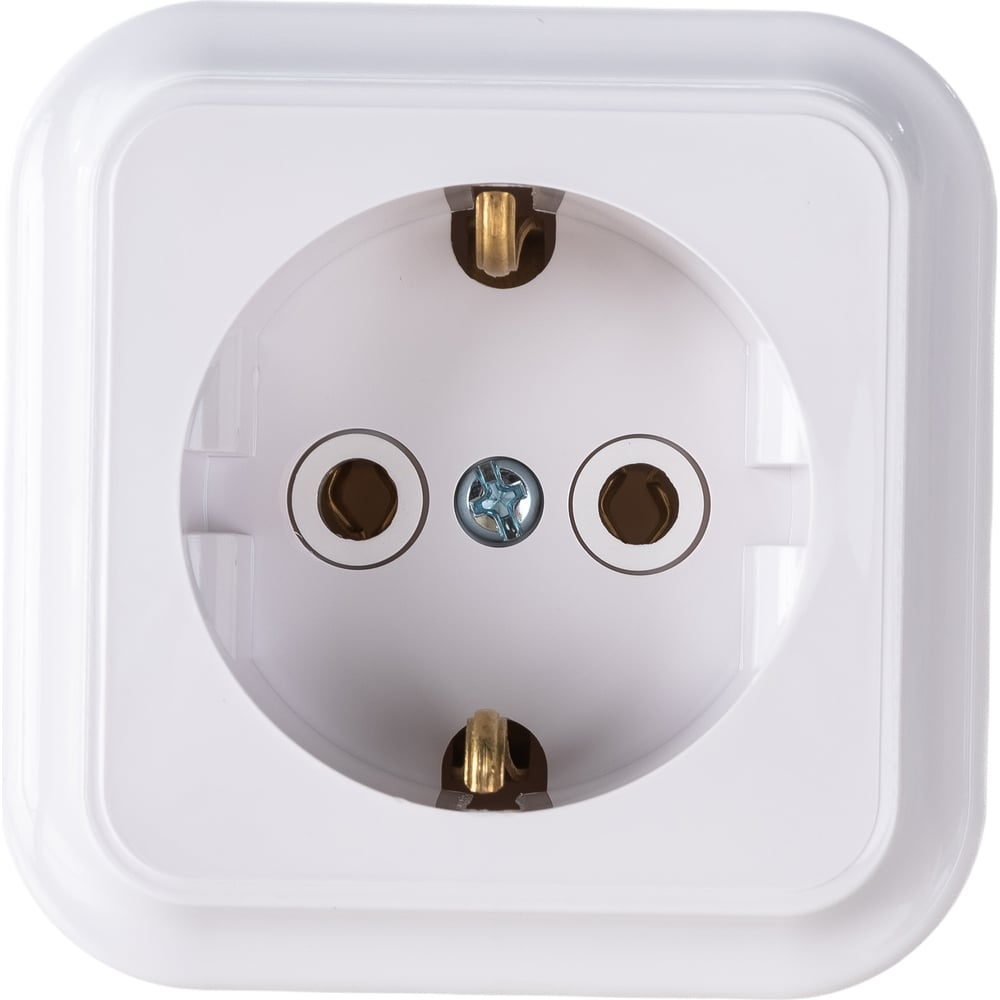 РА16-254 Пралеска Розетка с/з белый о/у (72)